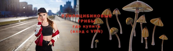 скорость Аркадак
