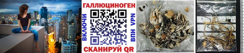 наркошоп  Коломна  Галлюциногенные грибы Cubensis 