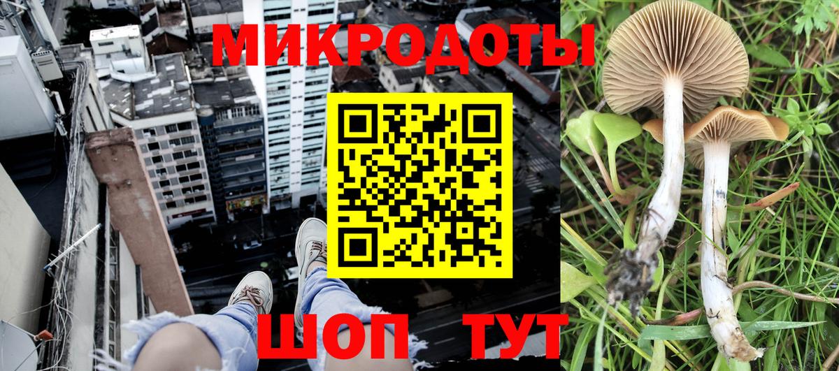 Псилоцибиновые грибы мицелий Коломна