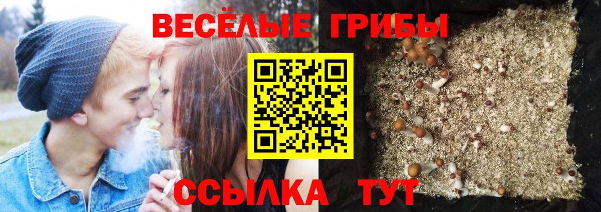 Псилоцибиновые грибы Cubensis  магазин продажи наркотиков  Коломна  Вход с VPN  Галлюциногенные грибы мухоморы 